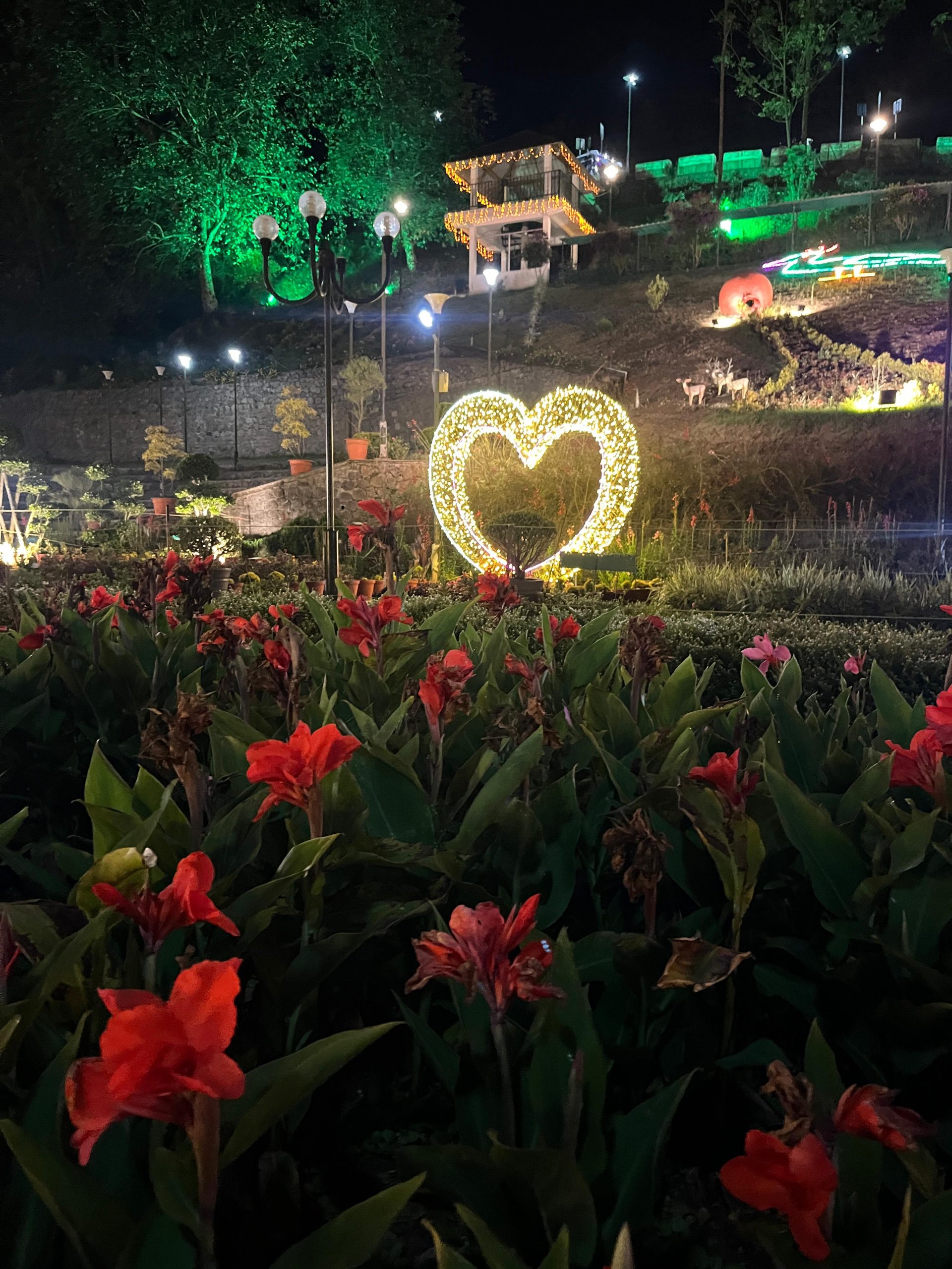 Flower garden in Munnar