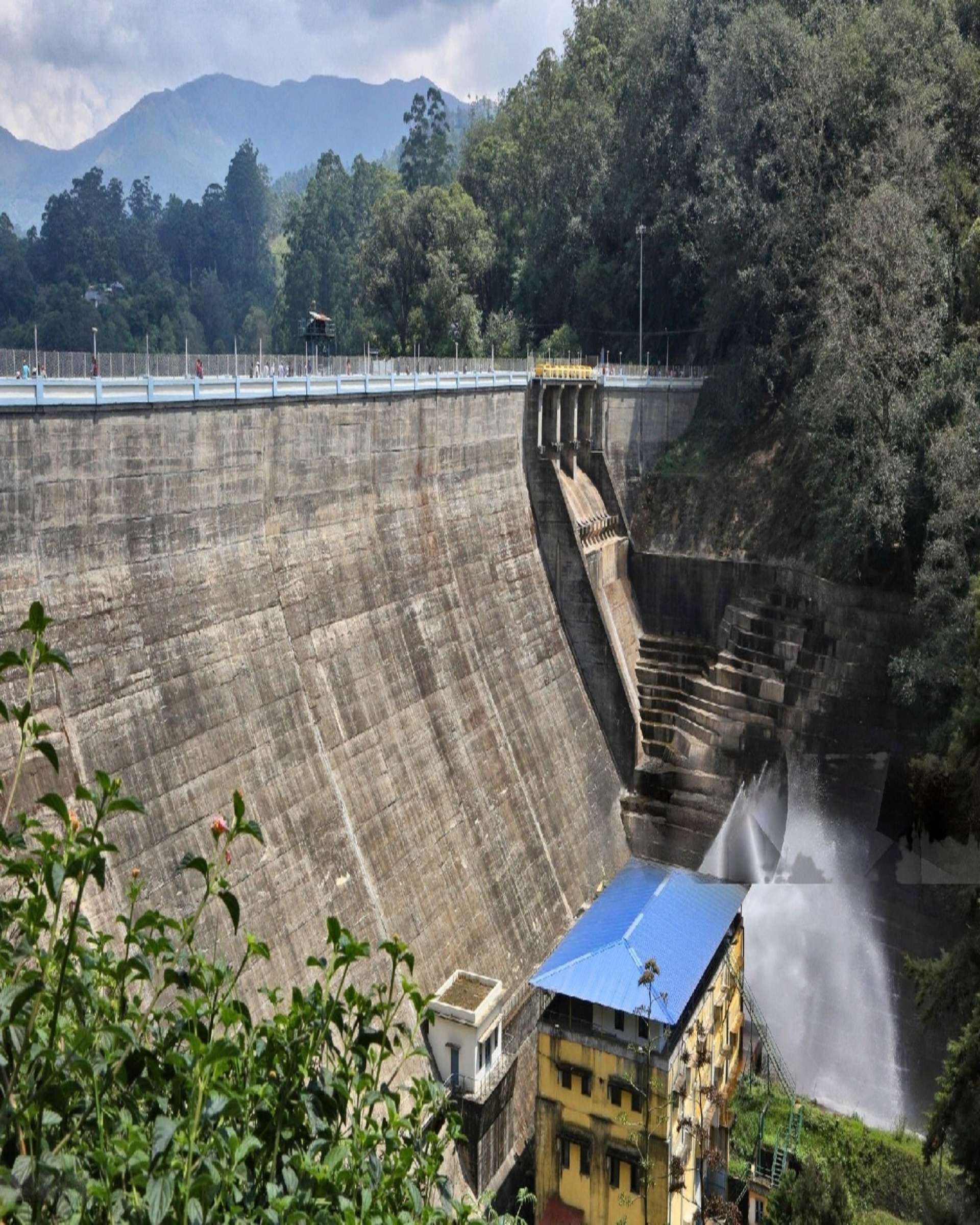 mattupetty dam in munnar