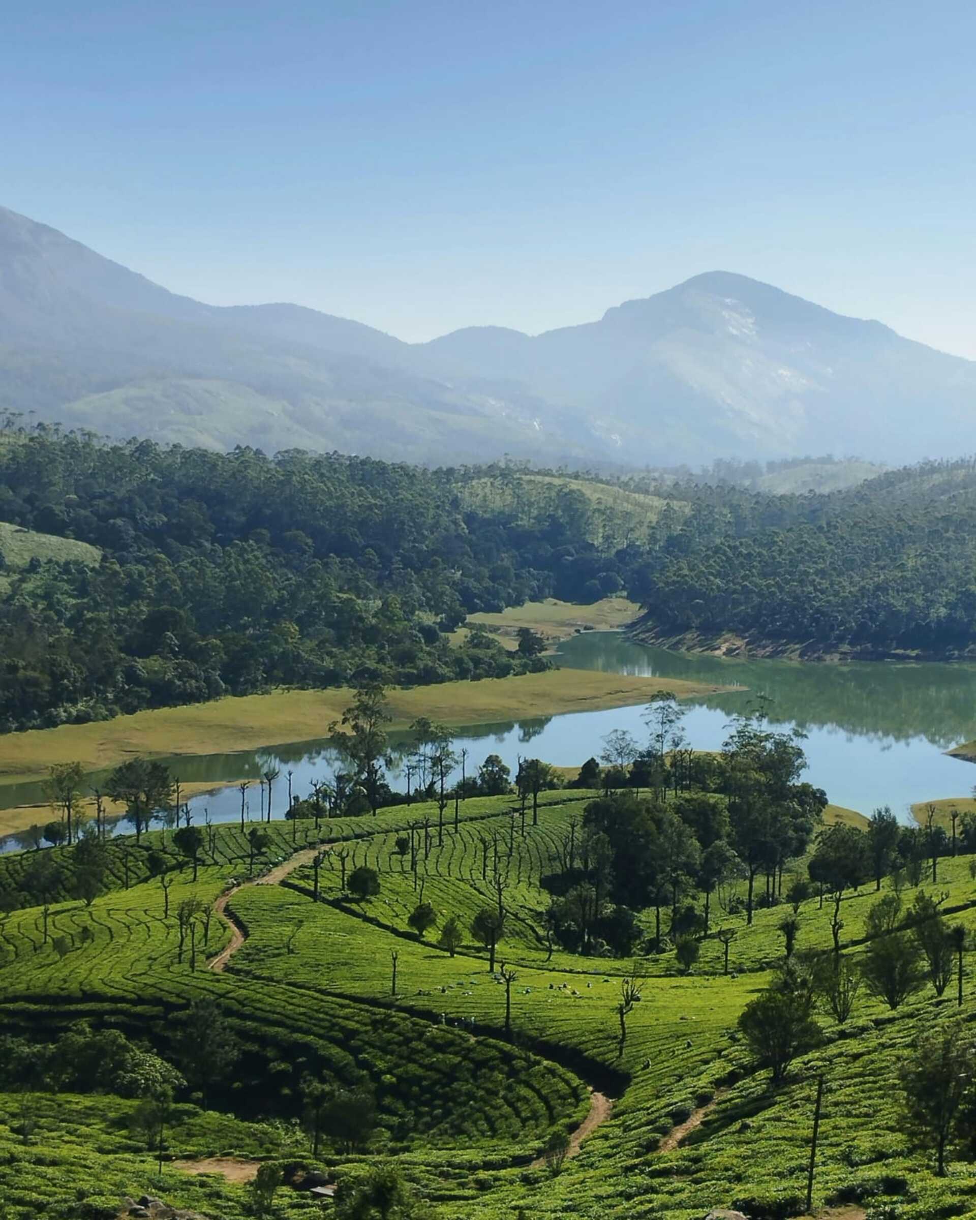 photopoint in munnar