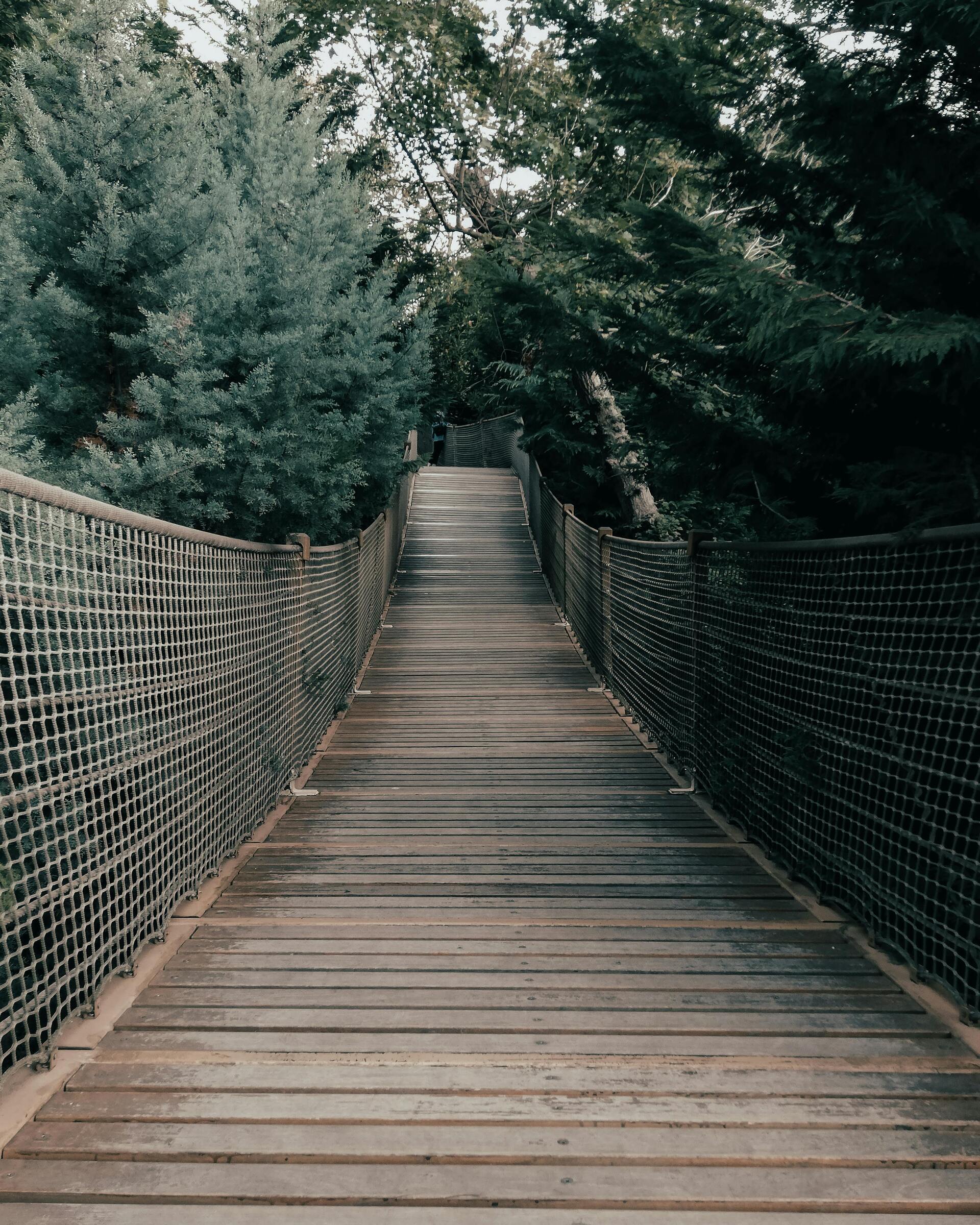 walk hanging bridge